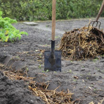 ct_banner.image 04-nawozy