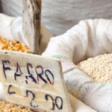 ct_banner.image 05-pasze