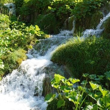 ct_banner.image 08-new-uzdatnianie wody logo